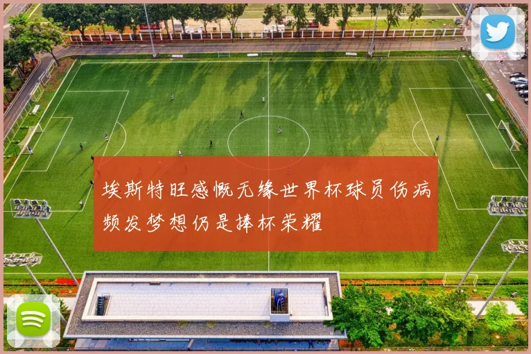 埃斯特旺感慨无缘世界杯球员伤病频发梦想仍是捧杯荣耀